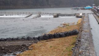 雨の桂川の流れ