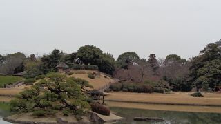 公園の中央に