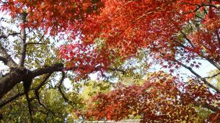 小金井公園でタイムスリップ！