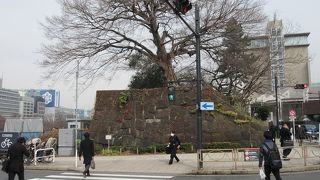 江戸城の遺構の一つです。