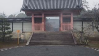 仁和寺の境内のなかほど