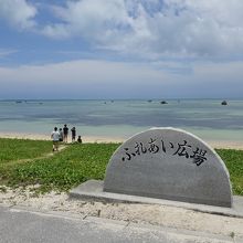 遠くに岩が見える