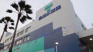 魚の数が多く、とても充実した水族館