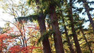 日常を味わえる場所