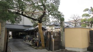 観光的な要素はあまり感じられない、現代的な都会のお寺でした。