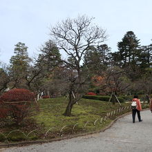 散策の小路が走る