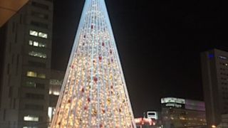 大きなクリスマスツリー