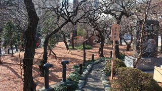 梅園と言っても狭く、1月は見る価値なし