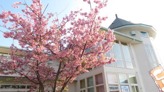 二階のお手洗が空いています