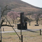 大室山の麓に広がる桜の木がいっぱいの公園