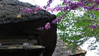 もう一つの武家屋敷通りにあります。