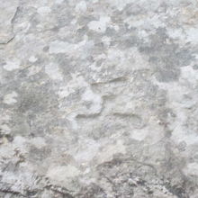 カタカナ刻銘の一例（ヱ）