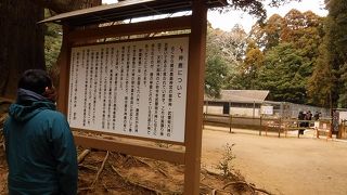 シャレなのか？