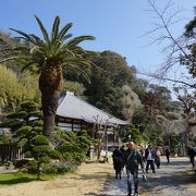 勝浦ビッグひな祭りの主要会場の一つ