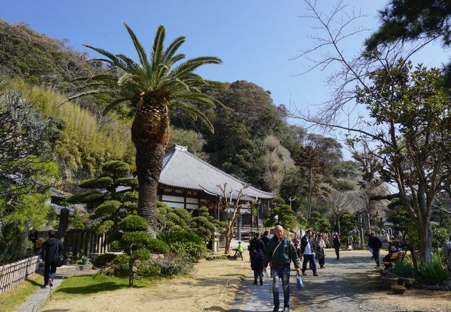 勝浦ビッグひな祭りの主要会場の一つ