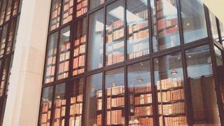 蔵書の壁が美しい