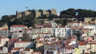 柵があって見にくくて残念