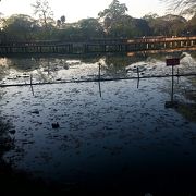 ヤンゴン動物園の北側にある市民の憩いの場