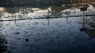 ヤンゴン動物園の北側にある市民の憩いの場