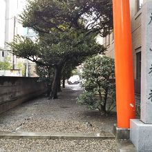 厳島神社 (羽衣町)