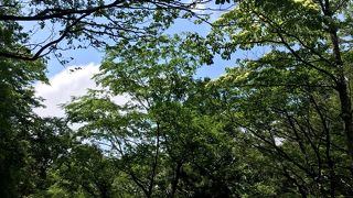 1人だと心細いかも・・・