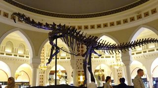 モールに本物の恐竜の化石