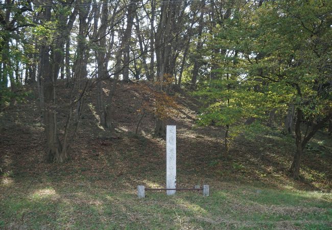 古墳はかなり土が流されていて、なだらかな形状