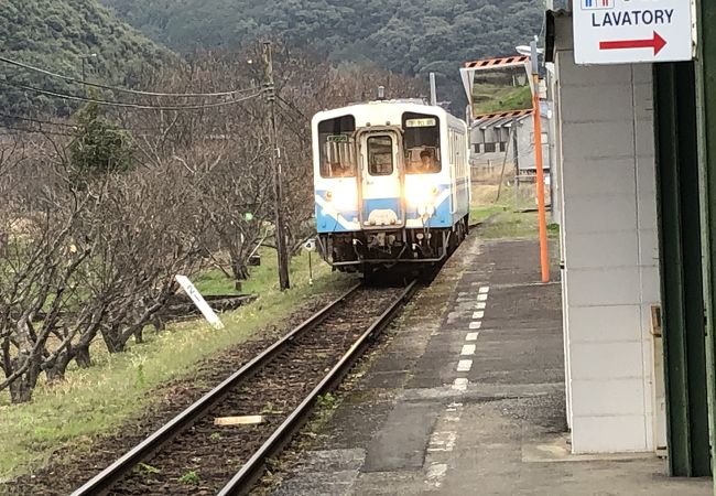 スーパー銭湯並みの設備