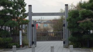 きれいに保存されていました