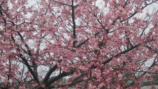 なはり中央公園