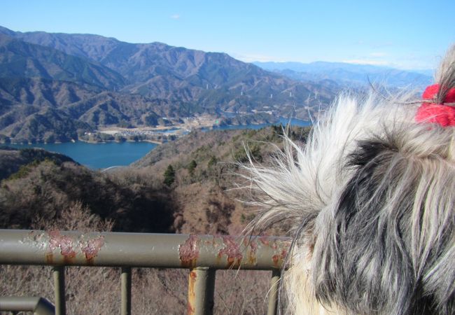 宮ヶ瀬湖 クチコミ アクセス 営業時間 丹沢 大山 フォートラベル