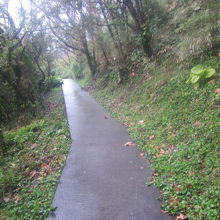 こういうスロープ状の箇所もありました