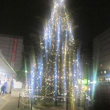 バス乗り場の傍で輝くクリスマスツリー風の電飾の様子