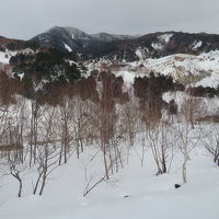 客室からの眺め
