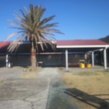 水曜日の午前。好天には恵まれましたが…。