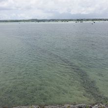 うっすらと確認できる