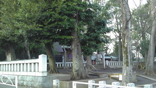 住宅街のオアシス