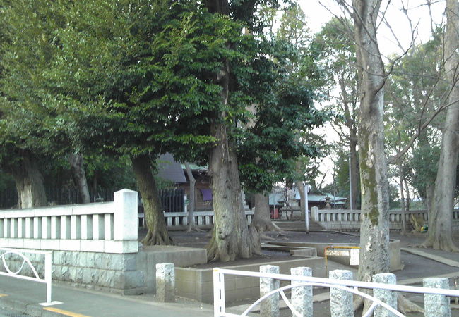 碑文谷八幡宮 クチコミ アクセス 営業時間 学芸大学 都立大学 フォートラベル 碑文谷八幡宮 クチコミ アクセス 営業時間 学芸大学 都立大学 フォートラベル