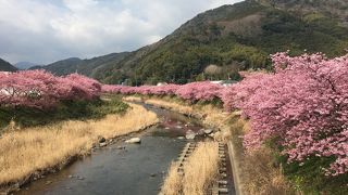 多くの人で賑わう