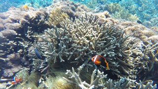 バリ恋オススメです！