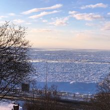 展望台から眺める一面流氷に覆われた海