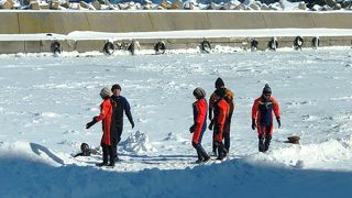 体験したかった