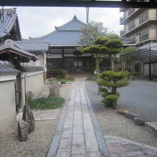 門越しに眺めるお寺の様子