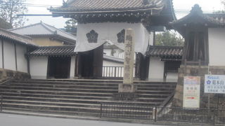 2月下旬は梅園の風情が素晴らしかったです