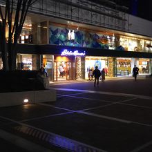 エディーバウアー