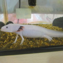 うーん、可愛いっ！！！