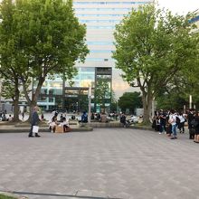 緑が目に優しい広場