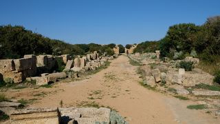 考古学好きにはたまらない見どころのあるマーニャ・グレーチャ