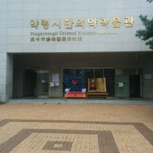 大邱薬令市韓医薬博物館の外観