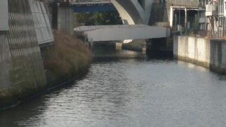 神田川は、江戸の上水の確保と江戸城の防御のため、本郷台地を開削して造られた人工河川です。